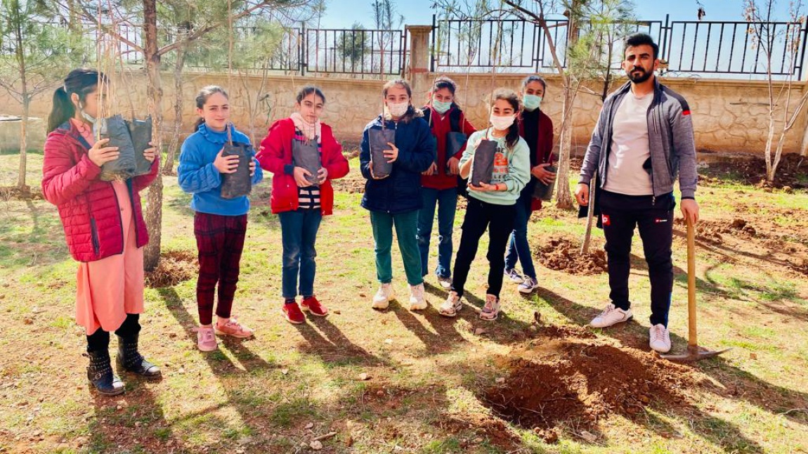 Okulumuzu Çiçeklendirme, Çimlendirme Çalışmaları